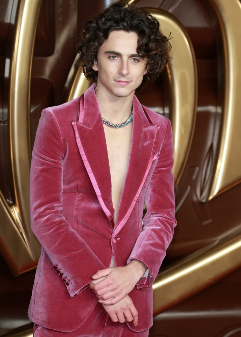 Gen Z Style Timothee Chalamet Timothée Chalamet Gen Z Baby Girl Trend