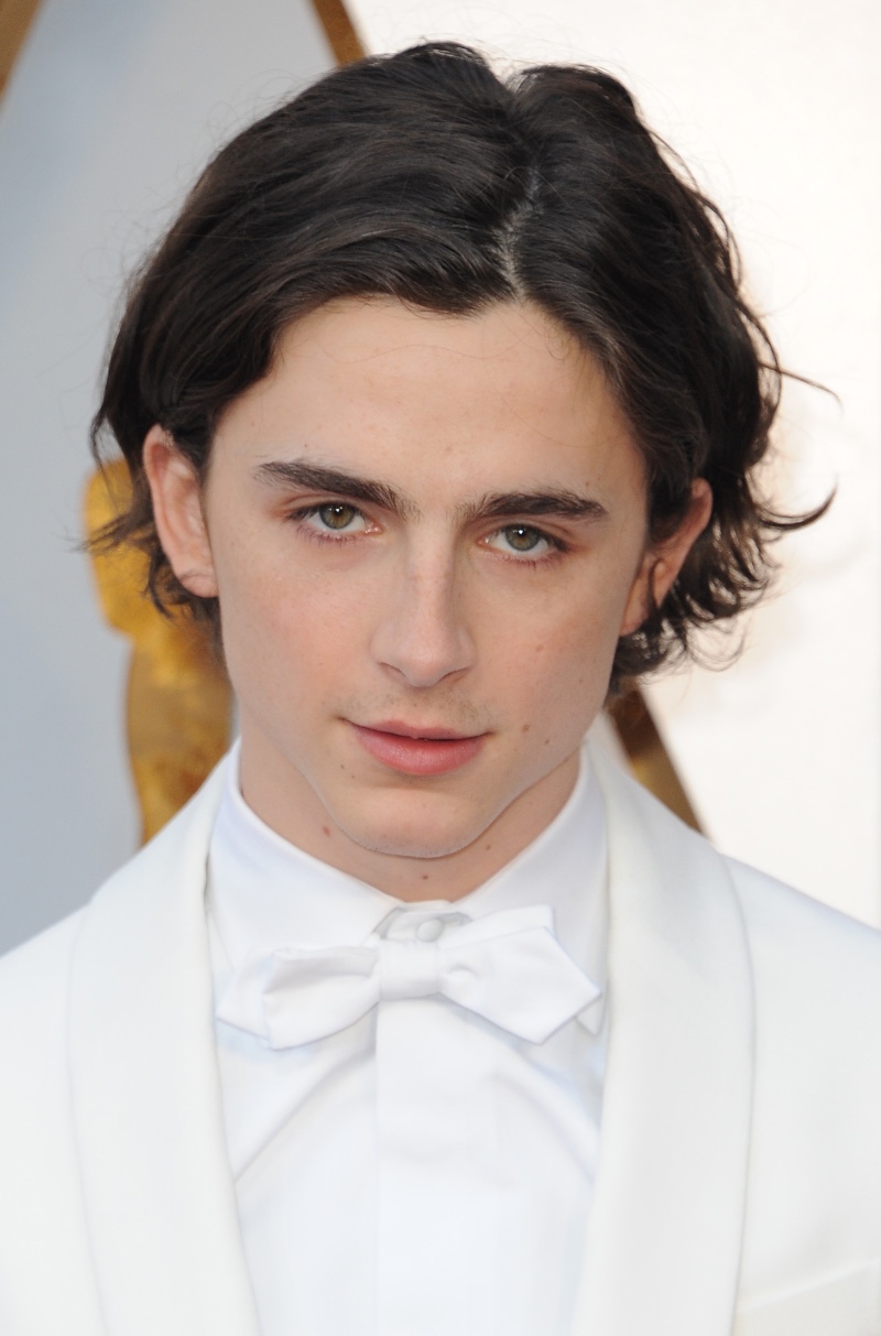 Timothee Chalamet 1 Timothee Chalamet at the 90th Annual Academy Awards wearing a white bow tie.